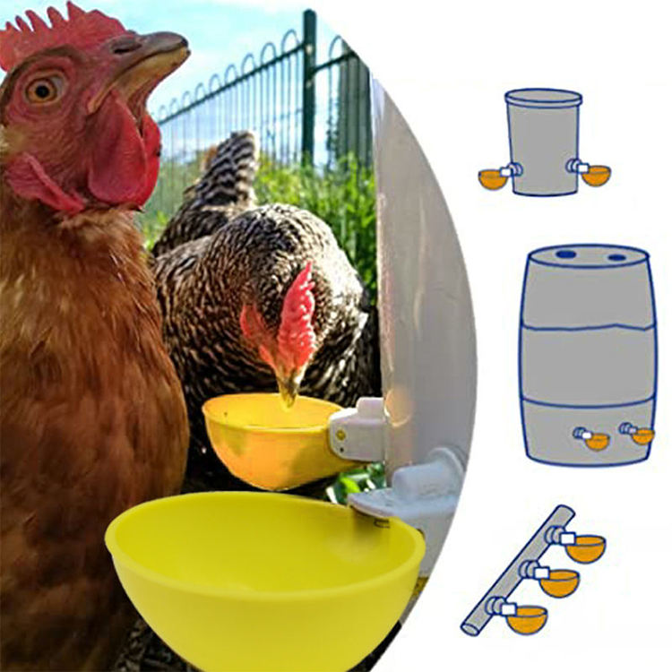 🔥🐔【Kupite 20 i dobijete 20 besplatno】【40 kom】Automatska fontana za hranjenje peradi Dodaci za hranjenje peradi