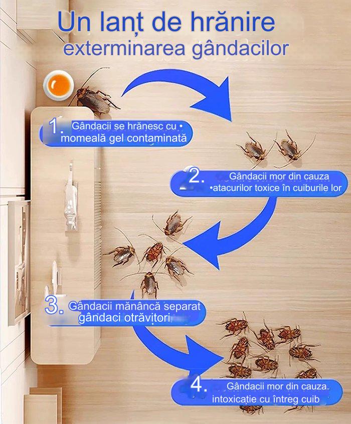 💥【80 bucăți】Plasture de momeală cu gel puternic pentru uciderea gândacilor