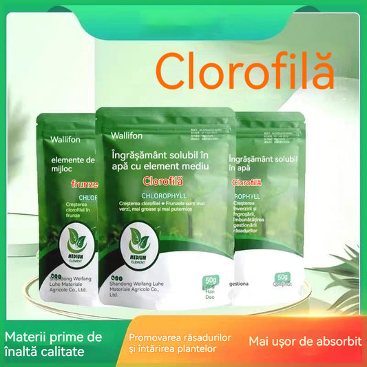 🌿🌿Îngrășământ solubil în apă cu clorofilă, îngrășământ foliar pentru flori, pomi fructiferi și legume, promovează creșterea rădăcinilor, creșterea răsadurilor și crește randamentul. Îngrășământ agricol solubil în apă.