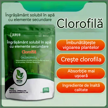 🌿🌿Îngrășământ solubil în apă cu clorofilă, îngrășământ foliar pentru flori, pomi fructiferi și legume, promovează creșterea rădăcinilor, creșterea răsadurilor și crește randamentul. Îngrășământ agricol solubil în apă.