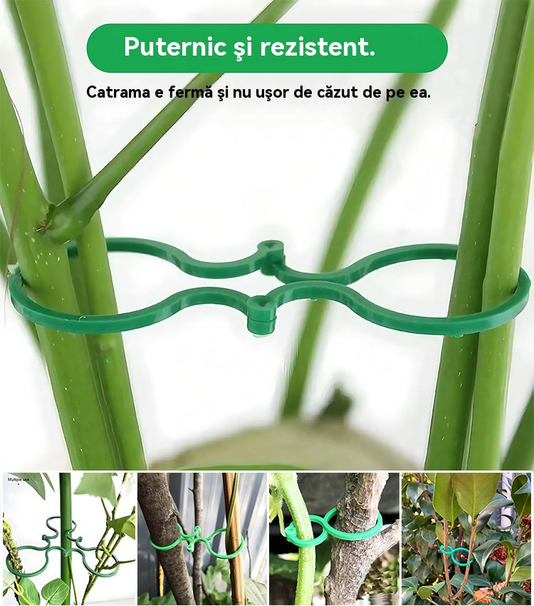🍇【500 bucăți】🌱Cleme fixe cu cataramă în formă de 8, potrivite pentru plante cățărătoare, grădini/grădini de legume/livezi, legături pentru viță de vie
