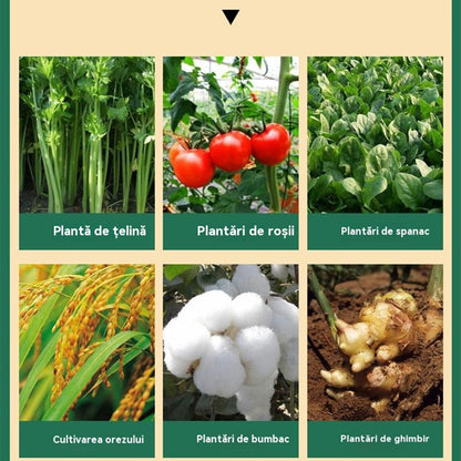 🌿🌿Îngrășământ solubil în apă cu clorofilă, îngrășământ foliar pentru flori, pomi fructiferi și legume, promovează creșterea rădăcinilor, creșterea răsadurilor și crește randamentul. Îngrășământ agricol solubil în apă.