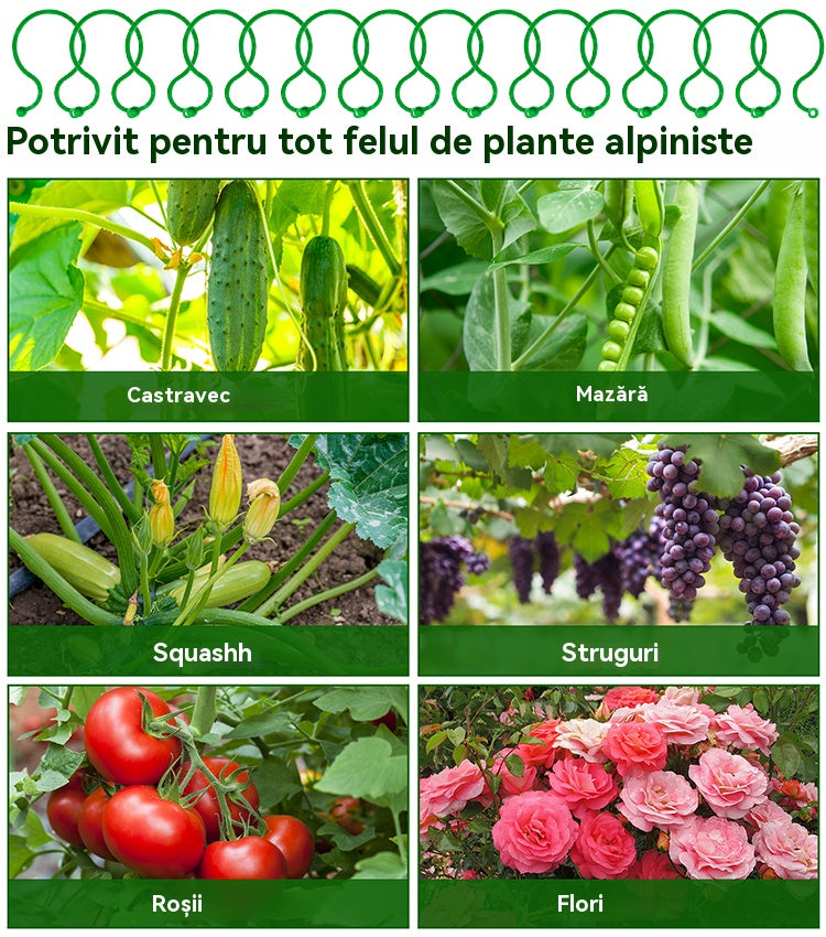 🍇【500 bucăți】🌱Cleme fixe cu cataramă în formă de 8, potrivite pentru plante cățărătoare, grădini/grădini de legume/livezi, legături pentru viță de vie